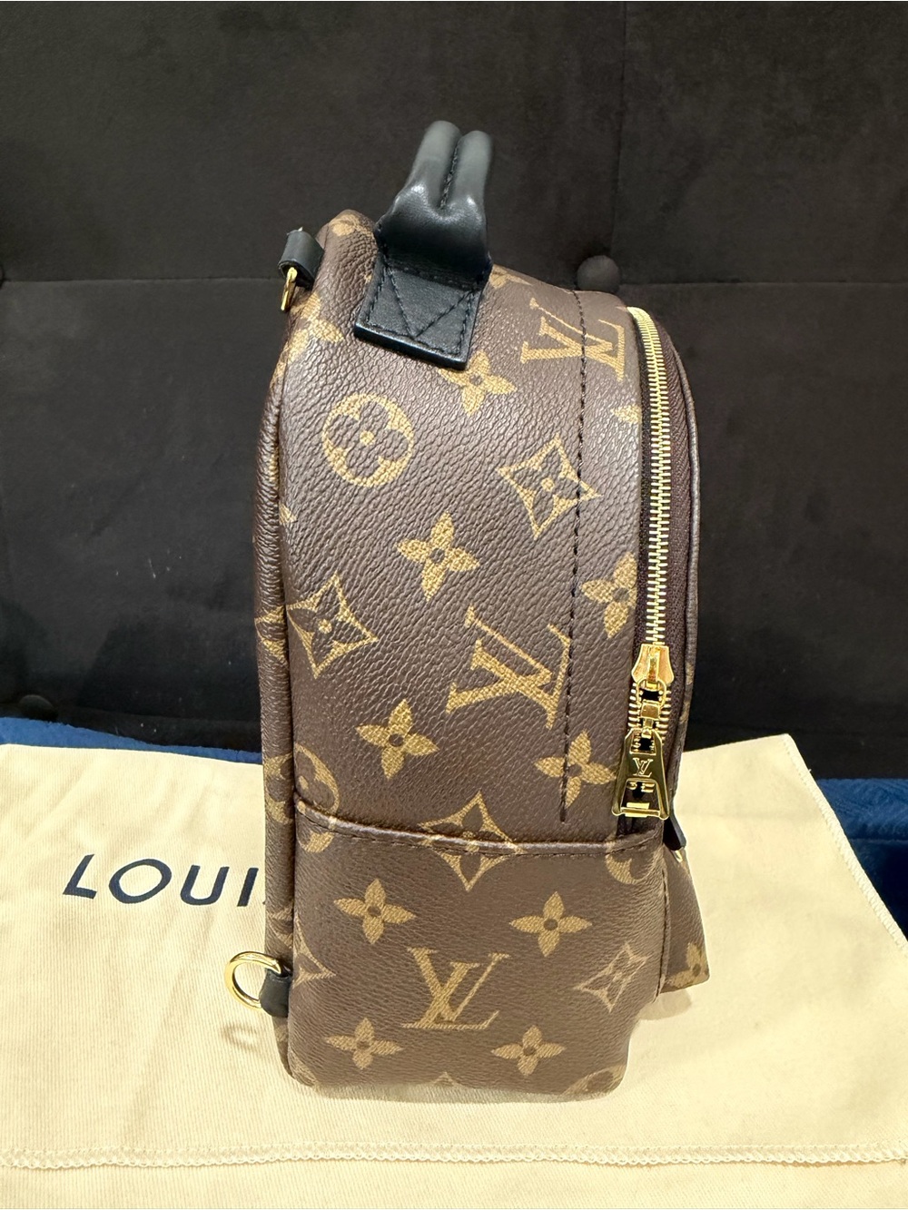 Louis Vuitton Palm Springs Mini Monogram - Picture 8 of 14
